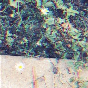 Meet your Posher, Itzchel